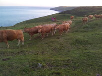 thumb_20130629_210103.jpg