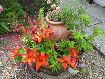 thumb_20130701_152505.jpg