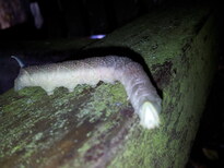 thumb_20130723_131224.jpg