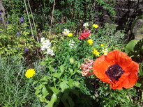 thumb_20130725_152603.jpg