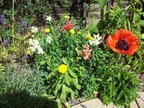 thumb_20130725_152630.jpg