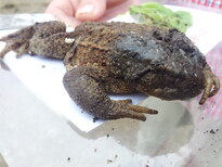 thumb_20130731_120239.jpg