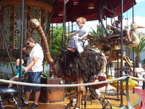 thumb_20130810_103831.jpg