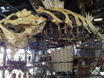 thumb_20130810_105146.jpg