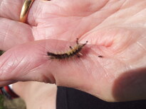 thumb_2013-09-24_12.58.11.jpg