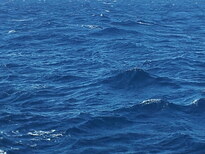 thumb_20130901_065032.jpg