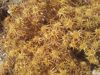 thumb_20130903_085234.jpg