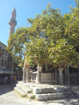 thumb_20130907_125124.jpg
