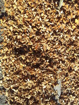 thumb_2013-10-10_10.33.28.jpg