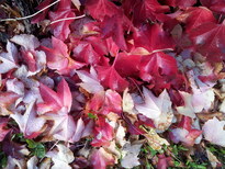 thumb_2013-10-23_13.09.49.jpg