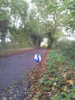 thumb_2013-10-28_12.33.20.jpg
