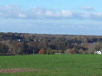 thumb_2013-11-21_14.02.49.jpg