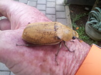 thumb_2013-11-24_11.10.03.jpg