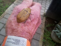 thumb_2013-11-24_11.10.25.jpg