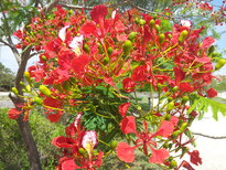 thumb_2013-11-26_13.32.05.jpg