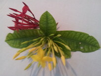 thumb_2013-11-28_13.30.00.jpg