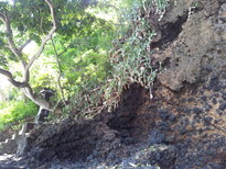 thumb_2013-11-30_13.48.01.jpg