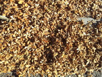 thumb_20131010_103329.jpg