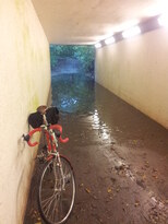 thumb_20131025_090001.jpg