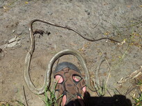 thumb_2013-12-02_11.27.27.jpg