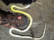 thumb_2013-12-02_11.28.47.jpg