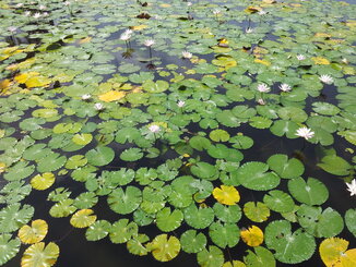thumb_2013-12-04_09.49.28.jpg