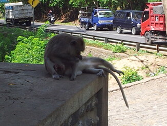 thumb_2013-12-04_10.24.23.jpg