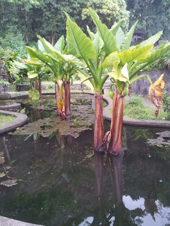 thumb_2013-12-04_16.37.25.jpg