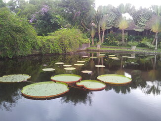 thumb_2013-12-04_16.59.22.jpg