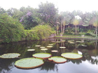 thumb_2013-12-04_16.59.28.jpg
