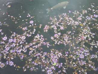 thumb_2013-12-04_17.03.39.jpg