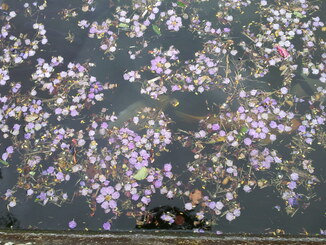 thumb_2013-12-04_17.03.53.jpg