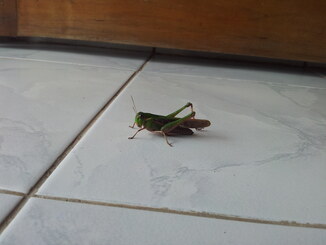 thumb_2013-12-05_09.15.11.jpg