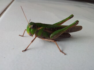 thumb_2013-12-05_09.15.24.jpg