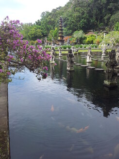 thumb_2013-12-05_09.32.03.jpg