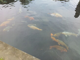 thumb_2013-12-05_09.32.51.jpg