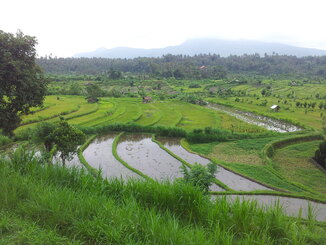 thumb_2013-12-05_12.45.51.jpg