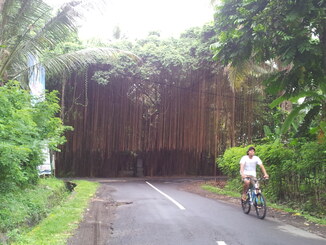 thumb_2013-12-07_09.47.32.jpg