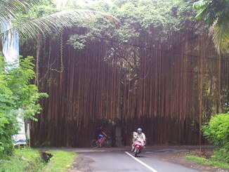 thumb_2013-12-07_09.48.22.jpg