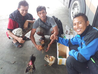 thumb_2013-12-10_14.29.12.jpg
