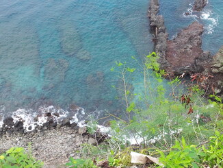thumb_2013-12-16_09.52.53.jpg