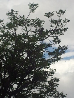 thumb_2013-12-16_13.05.51.jpg