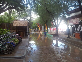 thumb_2013-12-19_15.54.48.jpg