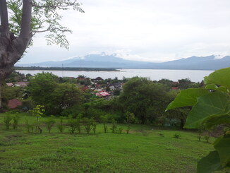 thumb_2013-12-21_10.22.51.jpg