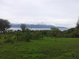 thumb_2013-12-21_10.26.44.jpg