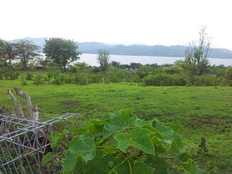 thumb_2013-12-21_10.29.59.jpg
