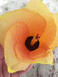 thumb_2013-12-28_13.46.25.jpg