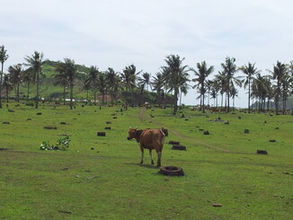 thumb_2013-12-28_14.18.33.jpg