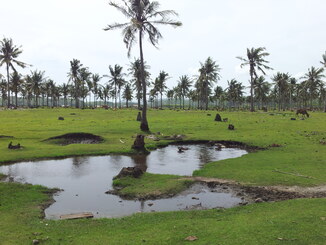 thumb_2013-12-28_14.20.12.jpg