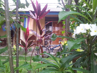 thumb_2013-12-28_17.54.43.jpg